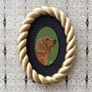 Cocker Spaniel