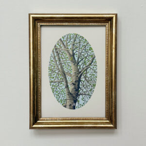 May Buds Print